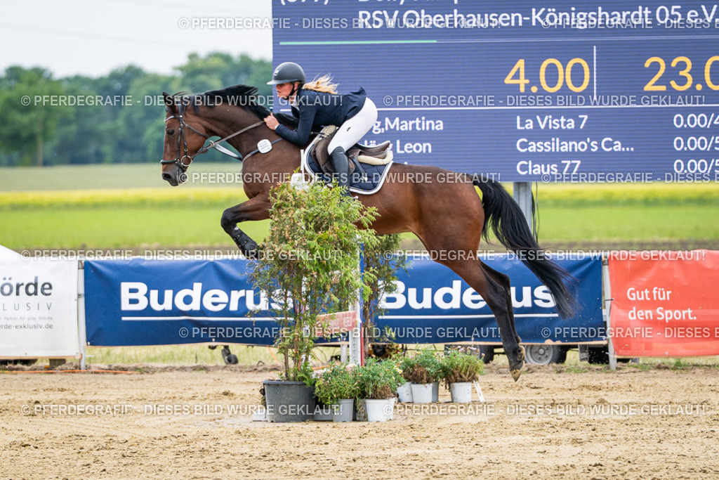 DSC06344 | Pferdegrafie