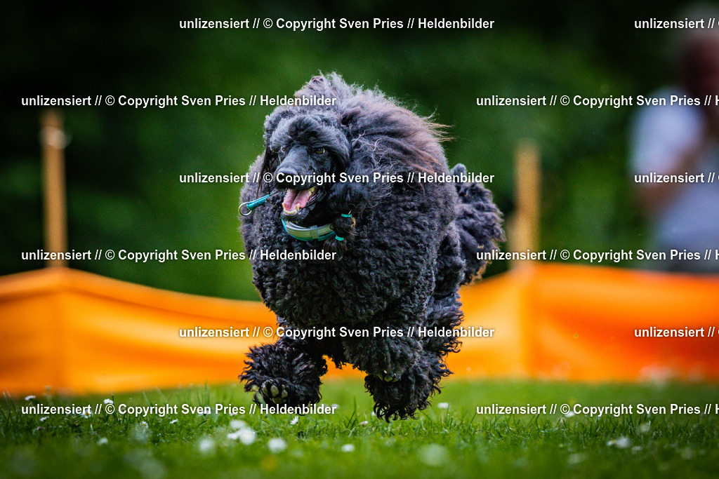 Sven Pries | 2025-05-29 - Pudelrennen KA-Durlach - Realisiert mit Pictrs.com