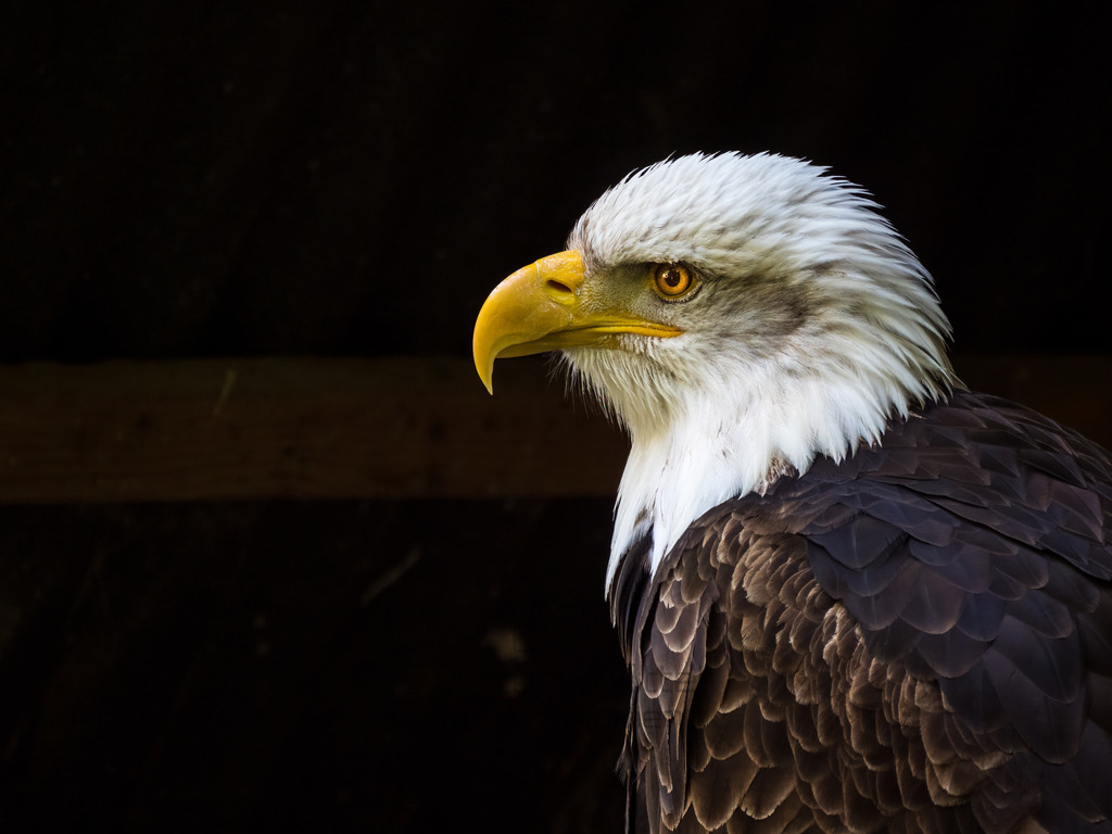 P1000235-Bearbeitet-2017-LR | Natur im Moment - Realisiert mit Pictrs.com