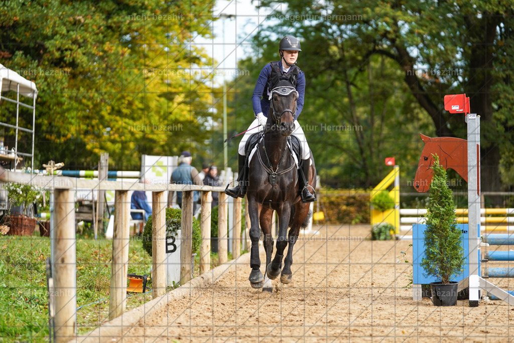 20221009-FAH08454 | Diessen am Ammersee, 2022, Dressur- und Springturnier, Reitsportbilder, Turnierfotografen Bayern, Pferdefotografen, Fotoagentur Herrmann, Turnierbilder