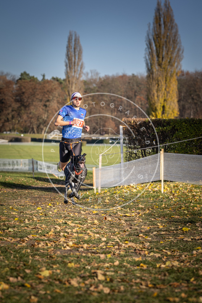 CaniXpix_DV3A0030 | Hundefotografie, Tierfotograf, Pfotenfotografie, Fotoshooting Hund, Hunde Portrait, Hundesport, Hundeportraits, Heideshooting, Hunde, Sportfotograf, Hundefotograf, Turnierhundsport, THS,  - Realisiert mit Pictrs.com