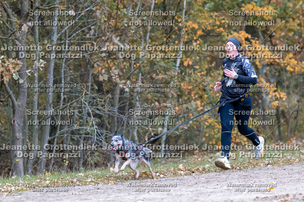 Dog Paparazzi - SD CaniX Championship 2025-656 | Dog Paparazzi Jeanette Grottendiek Fotografie & Videografie - Realisiert mit Pictrs.com