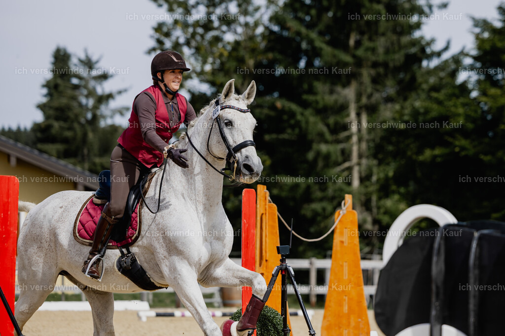 Kelly4_FHC2025-20342 | working equitationturnier fotograf videograf stoibphotography marixx film working equitation deutschland reitsport turnierfotografie eventfotografie equestrian events