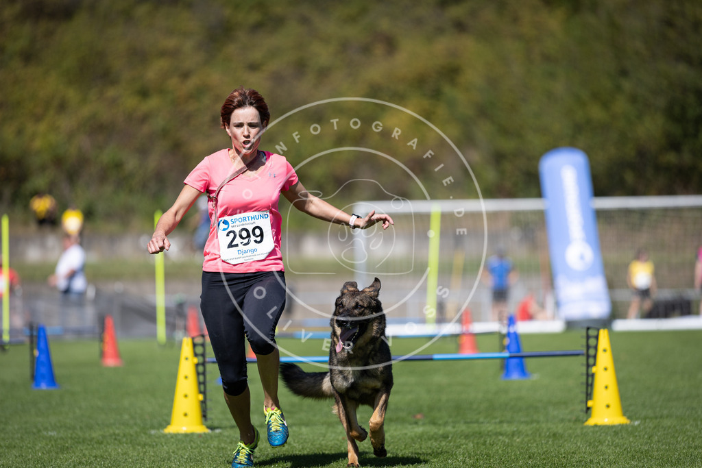 Pfotenfotografie_DV3A7729 | Hundefotografie, Tierfotograf, Pfotenfotografie, Fotoshooting Hund, Hunde Portrait, Hundesport, Hundeportraits, Heideshooting, Hunde, Sportfotograf, Hundefotograf, Turnierhundsport, THS,  - Realisiert mit Pictrs.com