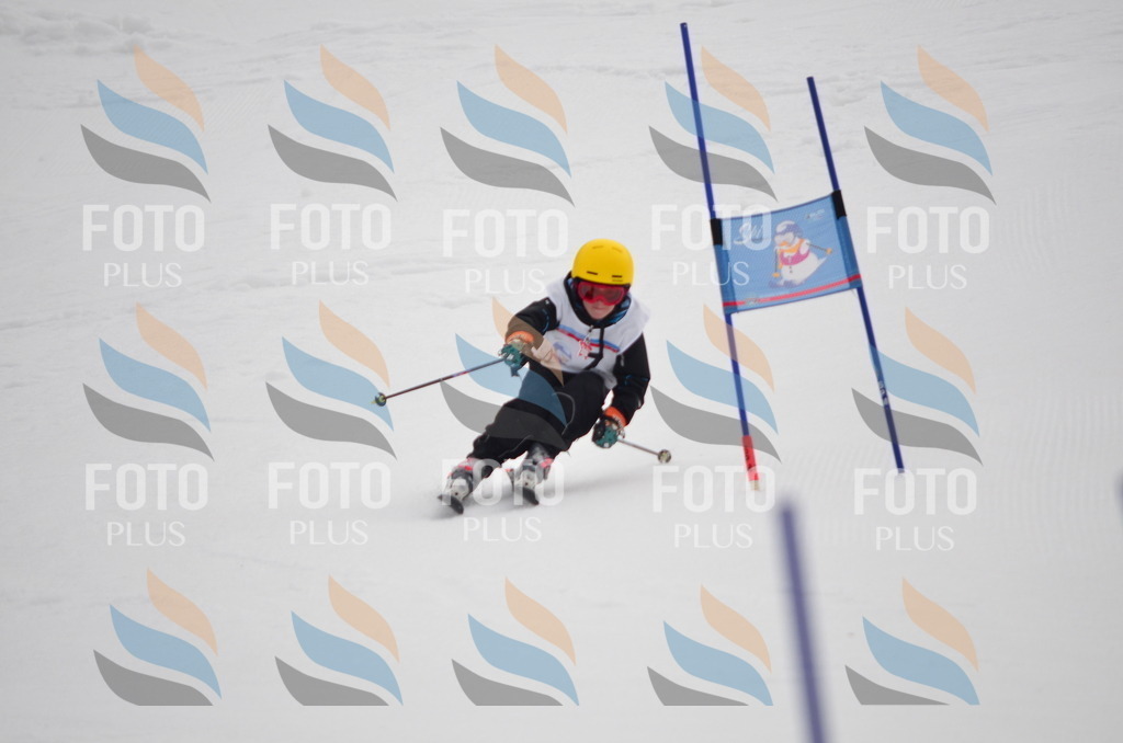 C0113 | holidayphoto