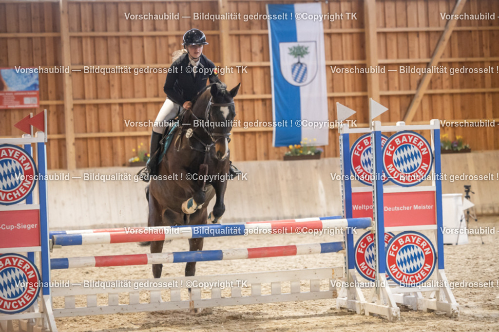 _D5A8206 | Emotionale Pferde- & People-Fotografie rund um Heidelberg, Leimen & Umgebung. Natürliche Fotos von Pferd, Mensch & Familie. Jetzt Termin sichern!