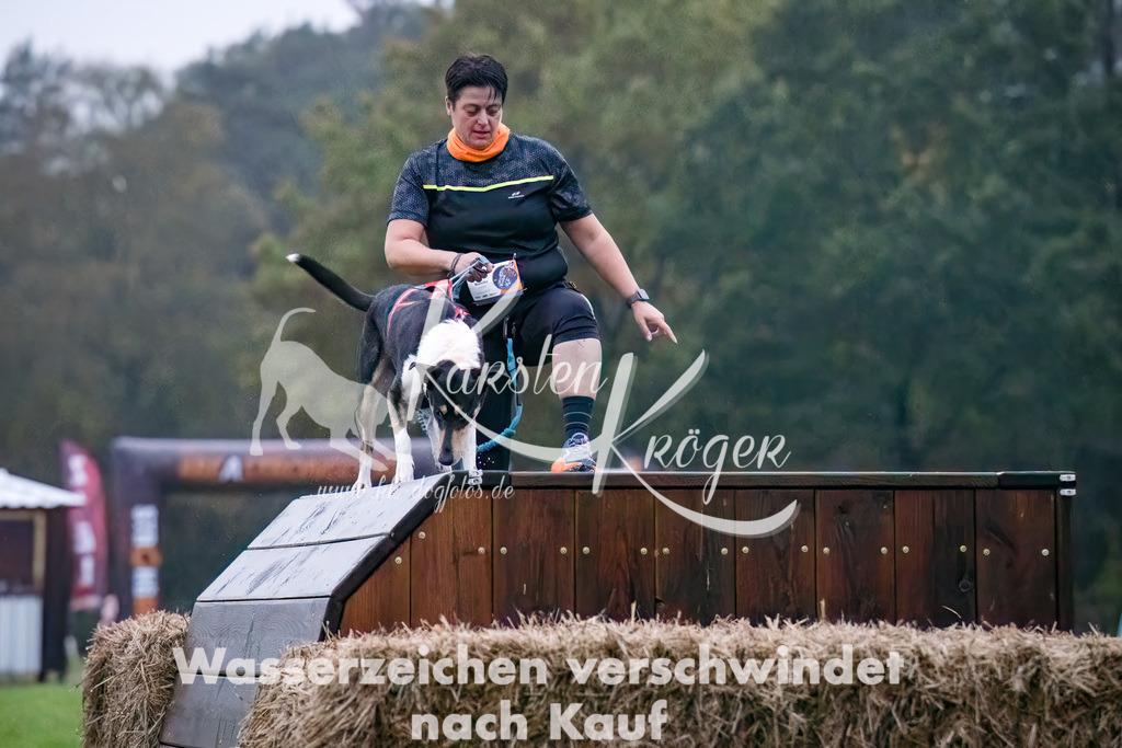 0805-_ZZ90133-Bearbeitet-Bearbeitet | kk-dogfotos