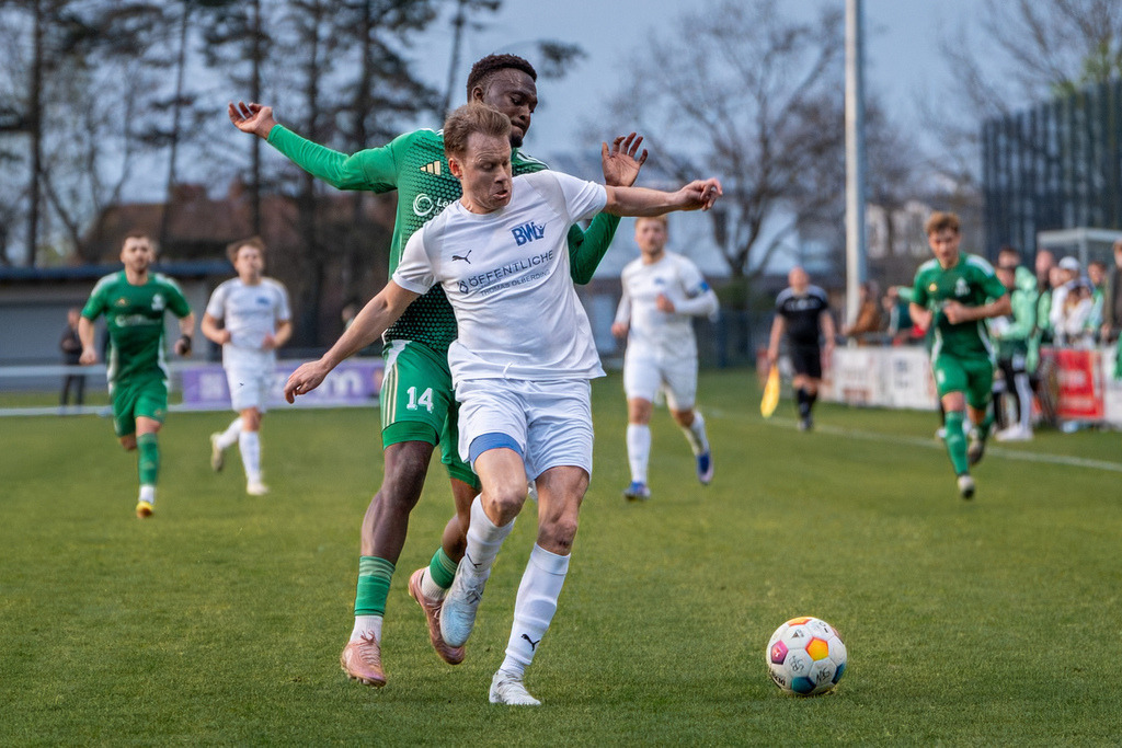 Fußball I Herren I Saison 2025-2026 I Landesliga Weser-Ems I 23. Spieltag I SFN Vechta - BW Lohne II I 01595 | jns.sportfotos - Realisiert mit Pictrs.com