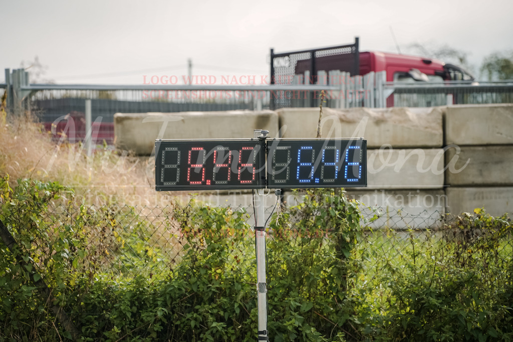 20250928_Hunderennen-345 | MuT (Mensch und Tier) mit Mona - Fotografie und Tierkommunikation - Realisiert mit Pictrs.com