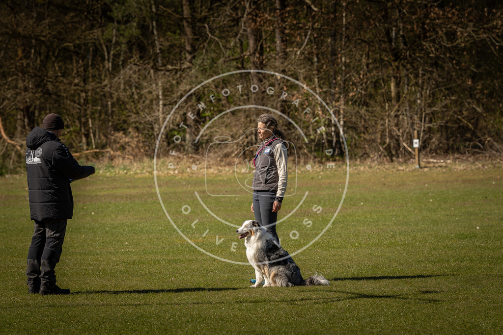 Pfotenfotografie_DV3A0538 | Hundefotografie, Tierfotograf, Pfotenfotografie, Fotoshooting Hund, Hunde Portrait, Hundesport, Hundeportraits, Heideshooting, Hunde, Sportfotograf, Hundefotograf, Turnierhundsport, THS,  - Realisiert mit Pictrs.com
