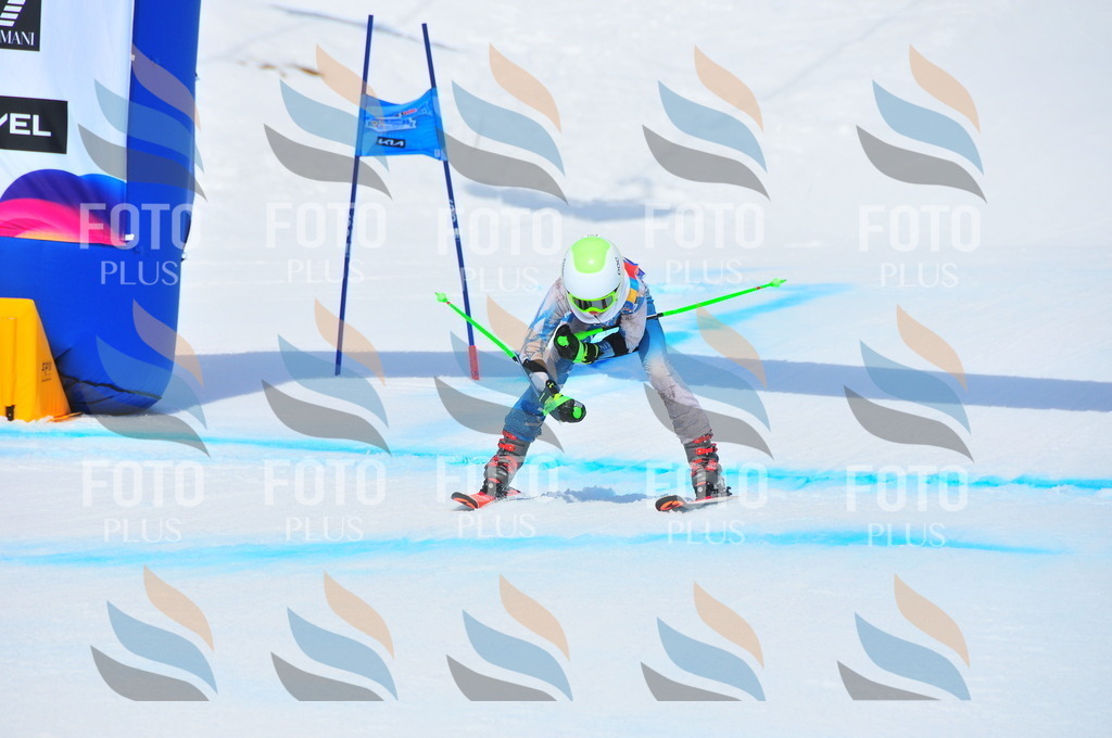 DSC_5869 | holidayphoto