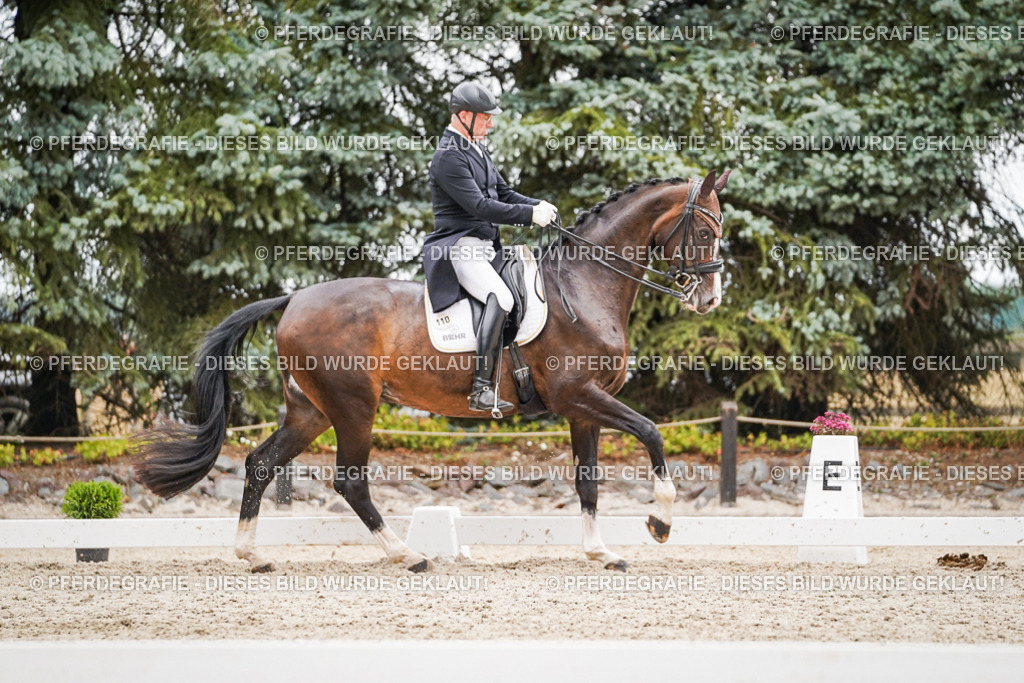 DSC06862 | Pferdegrafie