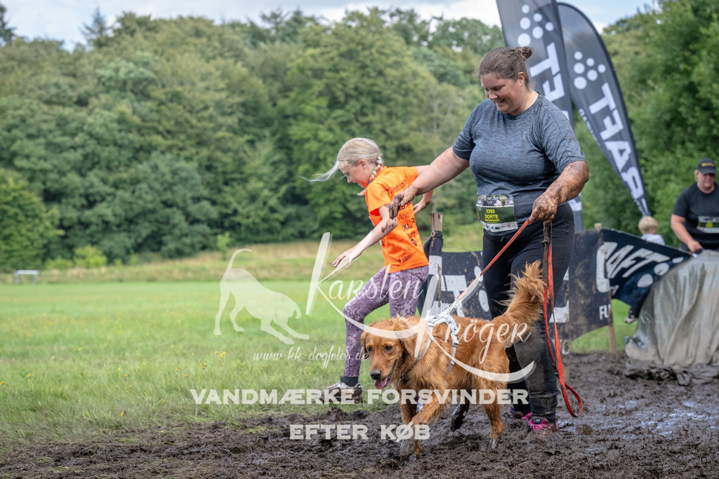 1643_ZZ94211 | kk-dogfotos