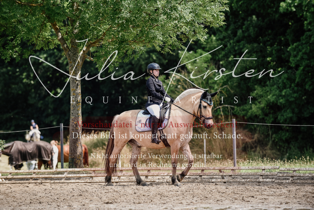 DSC_1645 | Pferde- und Turnierfotografie in Westsachsen. Pferdeportraits, Auftragszeichnungen und intuitive Kunst.