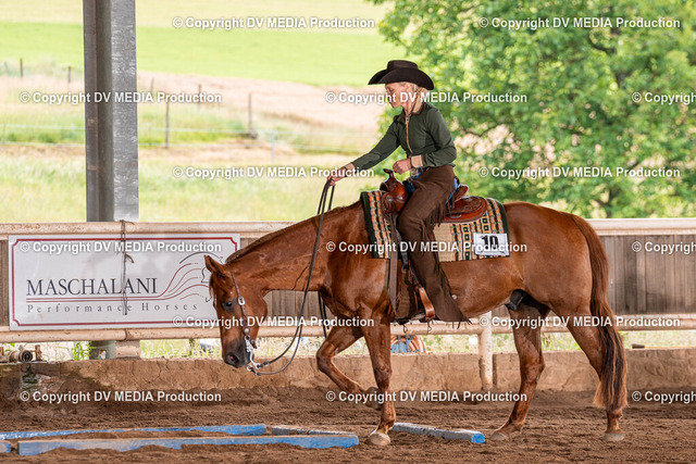 Erbach Tag 2-508 | dv-media-shop - Realized with Pictrs.com