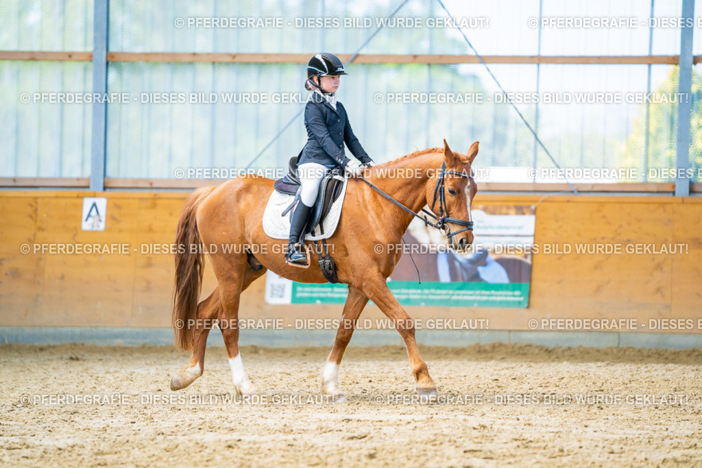 DSC08328 | Pferdegrafie