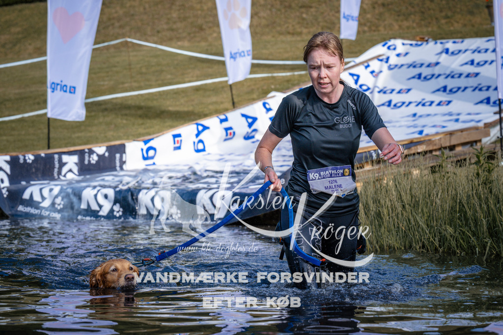 _ZZ947040719 | kk-dogfotos