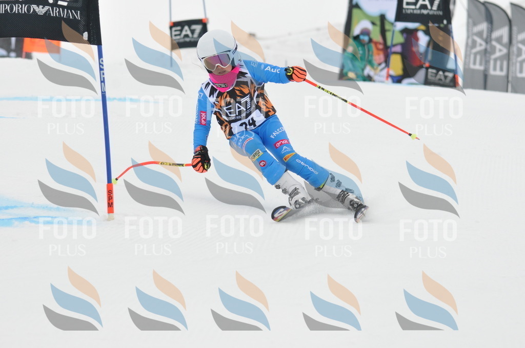 DSC_7583 | holidayphoto