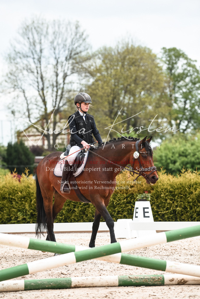 20230518_JK-Röhrsdorf-10-734 | Pferde- und Turnierfotografie in Westsachsen. Pferdeportraits, Auftragszeichnungen und intuitive Kunst.