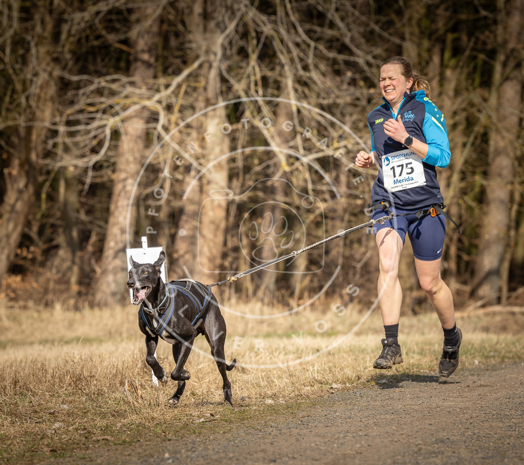 DV3A5638 | Hundefotografie, Tierfotograf, Pfotenfotografie, Fotoshooting Hund, Hunde Portrait, Hundesport, Hundeportraits, Heideshooting, Hunde, Sportfotograf, Hundefotograf, Turnierhundsport, THS,  - Realisiert mit Pictrs.com