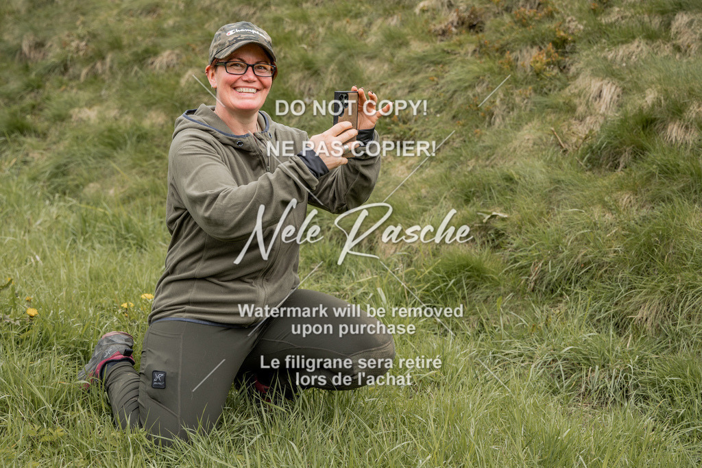 NR__2975 | nelerasche