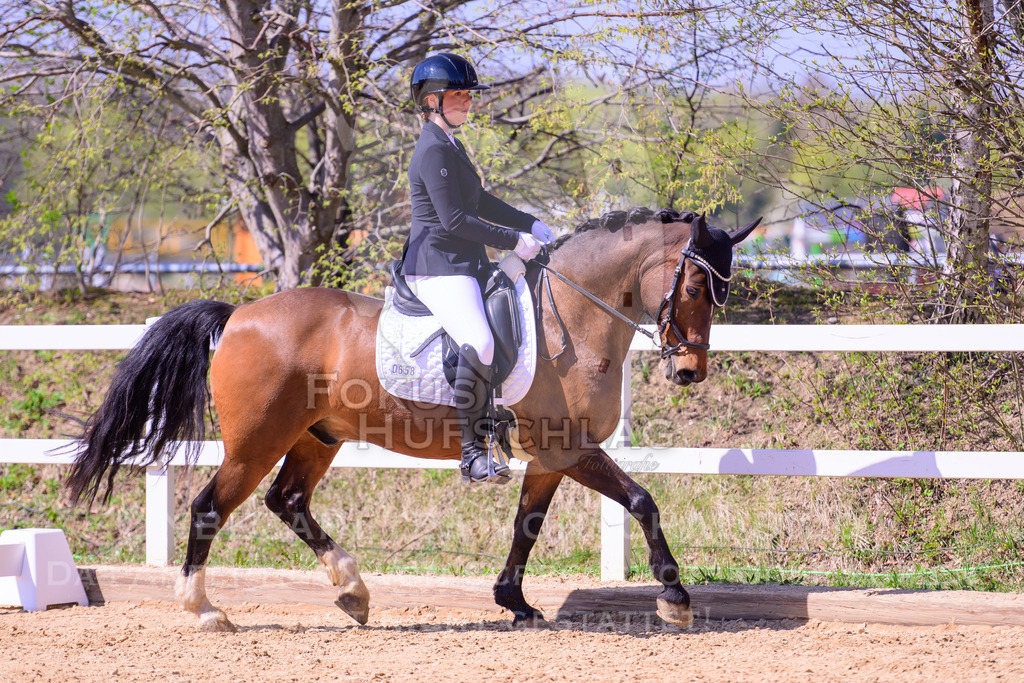 11042026-Mammendorf-Prfg31-1-0205 | Fokus Hufschlag Fotografie - Realisiert mit Pictrs.com