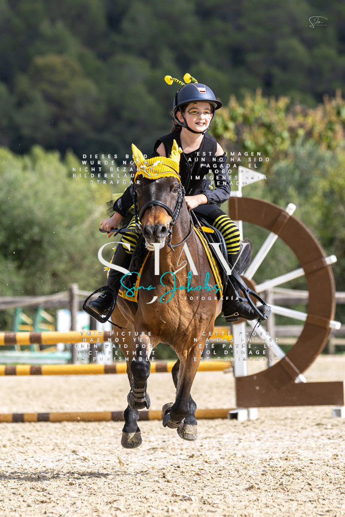 IMG_2624 | s-jay-photography - Realisiert mit Pictrs.com