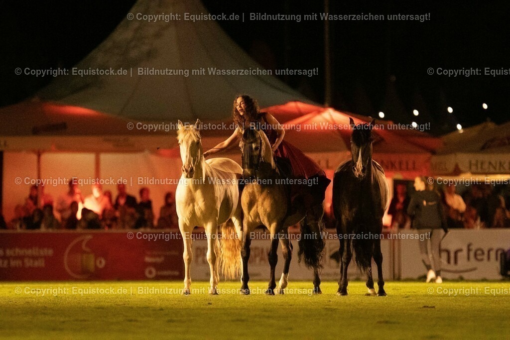 20230526_Pferdenacht_1509 | equistock