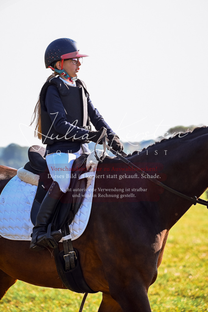 DSC_0240 | Pferde- und Turnierfotografie in Westsachsen. Pferdeportraits, Auftragszeichnungen und intuitive Kunst.