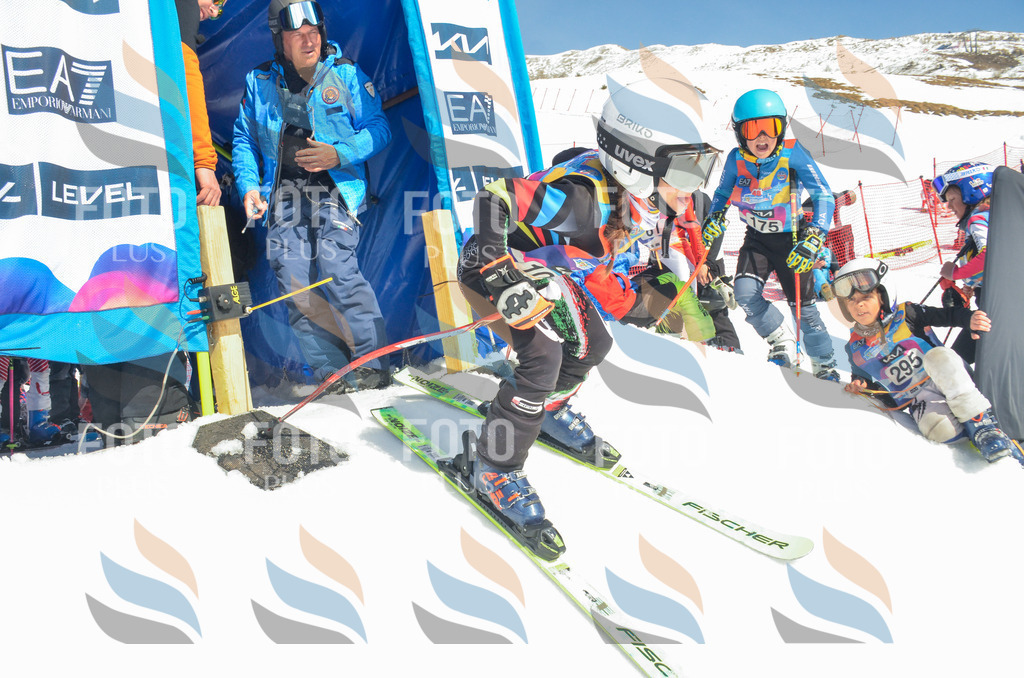 _ELE5857 | holidayphoto