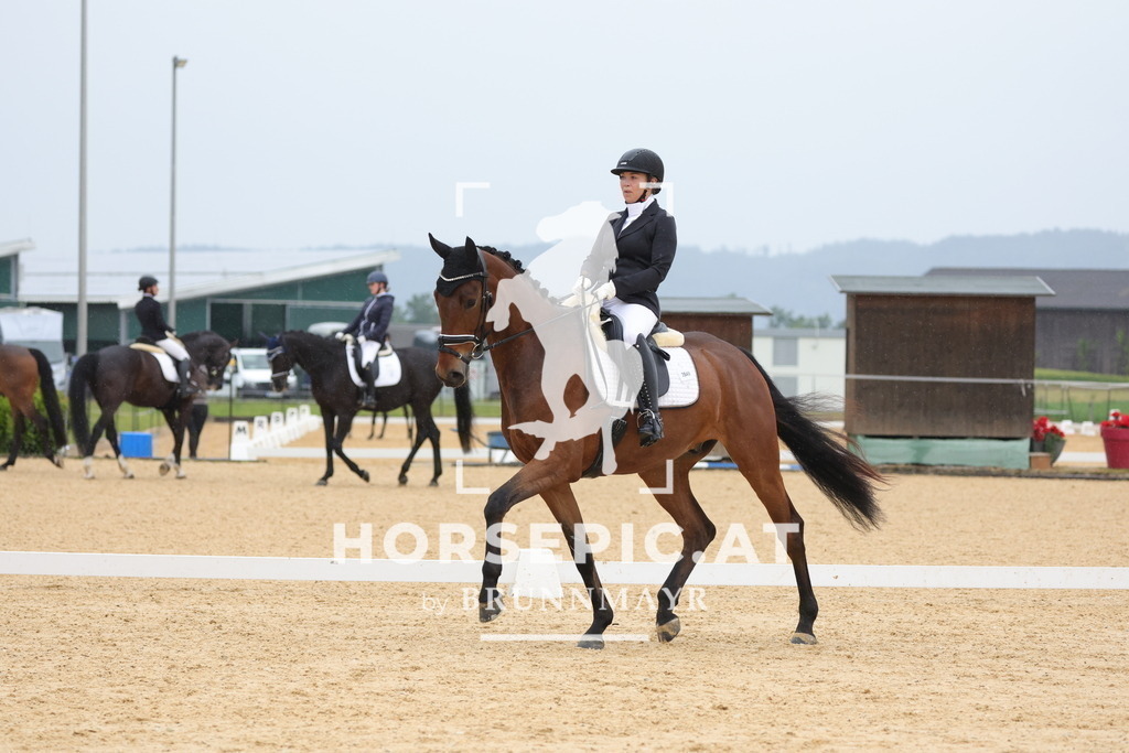 0P6A0524 | Willkommen bei Brunnmayr - Design & Fotografie – Ihrem Spezialisten für Reitturniere und Pferdeveranstaltungen in Oberösterreich, Salzburg und Bayern! Seit über 17 Jahren sind wir leidenschaftlich dabei.