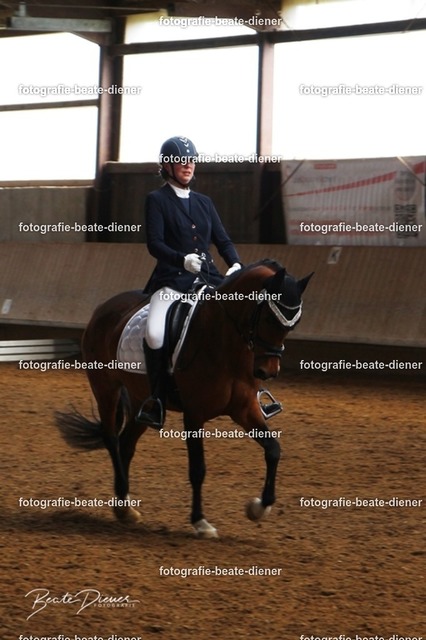 JugendTrophy0081 | Fotografie, Tiere, Hunde, Katzen, Pferde, Sportfotografie, Fotosession, Tierfotografie, Turnierfotografie, Fotografin, Fotograf - Realisiert mit Pictrs.com