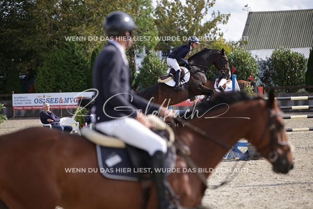 1J2A8354Laura Aromaa_ Medusa T_ Kn714_ Havekost | Foto- und Videografie für alles rund ums Pferd. Hochwertige Bilder und Videos vom Spring- und Dressurreiten, Voltigieren & mehr. Jetzt aktuelle Veranstaltungen und Preise im Shop ansehen. - Realisiert mit Pictrs.com