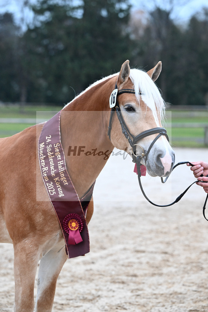 Kat-Nr. 16 nn v. Neustart_Obermeyer_48251872 | hf-fotografie - Realisiert mit Pictrs.com