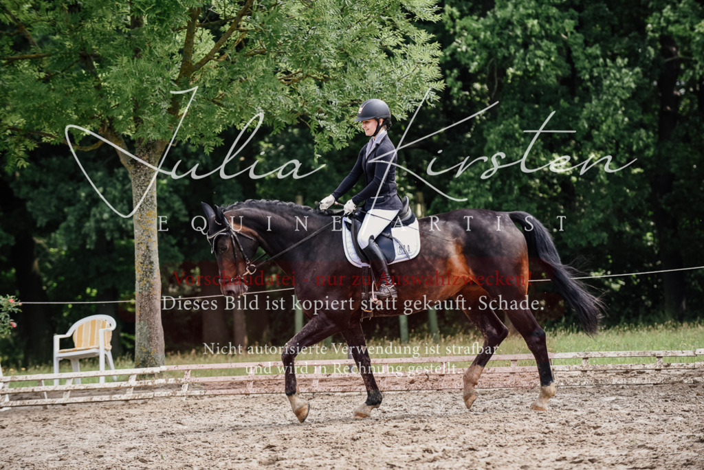 DSC_0617 | Pferde- und Turnierfotografie in Westsachsen. Pferdeportraits, Auftragszeichnungen und intuitive Kunst.