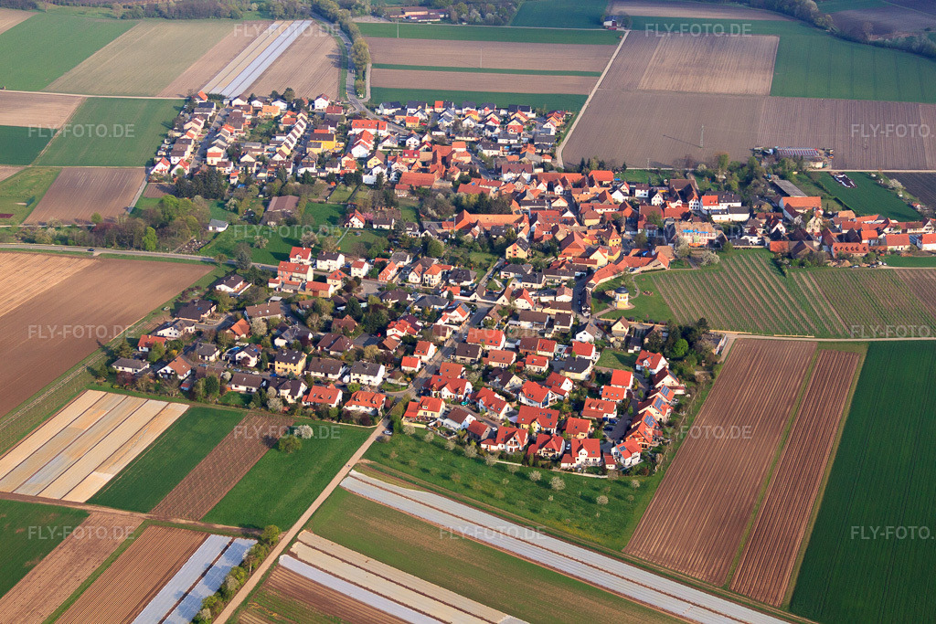 Luftbild: Ortsansicht von Westen in Kleinniedesheim im Bundesland Rheinland-Pfalz in Deutschland. Foto: IMG_49849.jpg vom 13.04.2012 durch Werner Riehm/FLY-FOTO.deAuflösung des Originals: 4752 x 3168 px