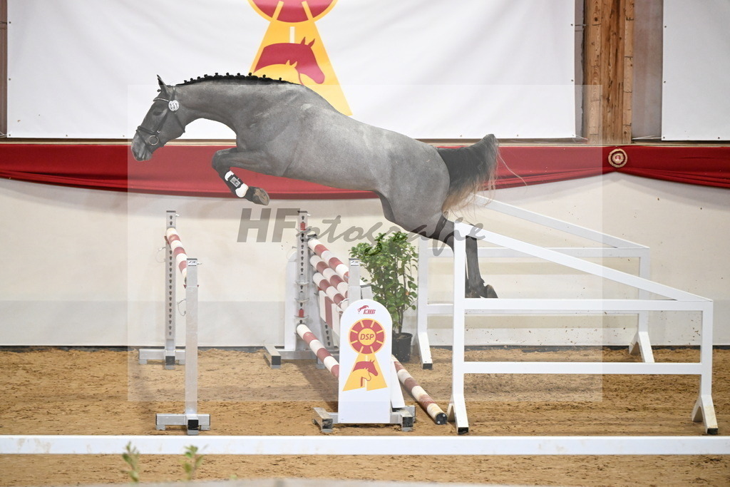 Kat.-Nr. 31 v. James Blue_Schadock_2251206 | hf-fotografie - Realizzato con Pictrs.com
