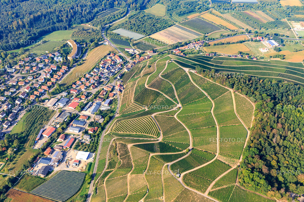 Weinberge am Köpfle aus Osten | Luftbild: Weinberge am Köpfle aus Osten im Ortsteil Unterweiler in Durbach im Bundesland Baden-Württemberg in Deutschland. Foto: IMG_008959.jpg vom 20.09.2020 durch Werner Riehm/FLY-FOTO.de - Realisiert mit Pictrs.com