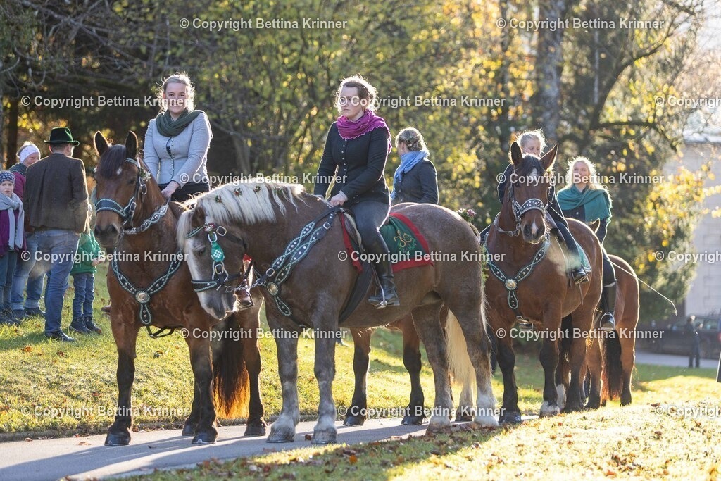 LL24-174 | foto-bettina-krinner - Realisiert mit Pictrs.com
