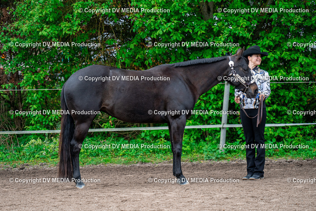 BA300224 | dv-media-shop - Realisiert mit Pictrs.com