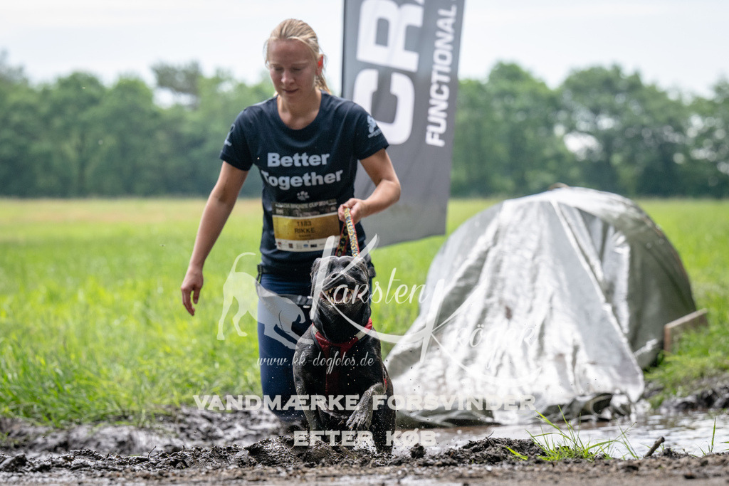 0955_ZZ92321 | kk-dogfotos