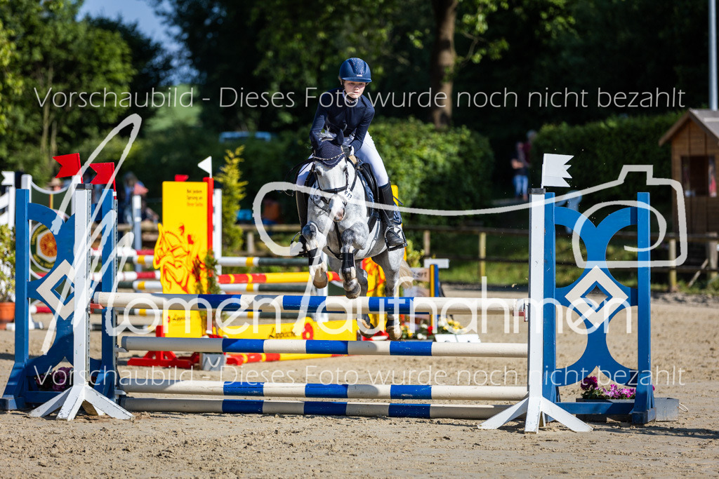 Donop24-ASpr-095 | MomenTaufnahmen Pferdesportfotos