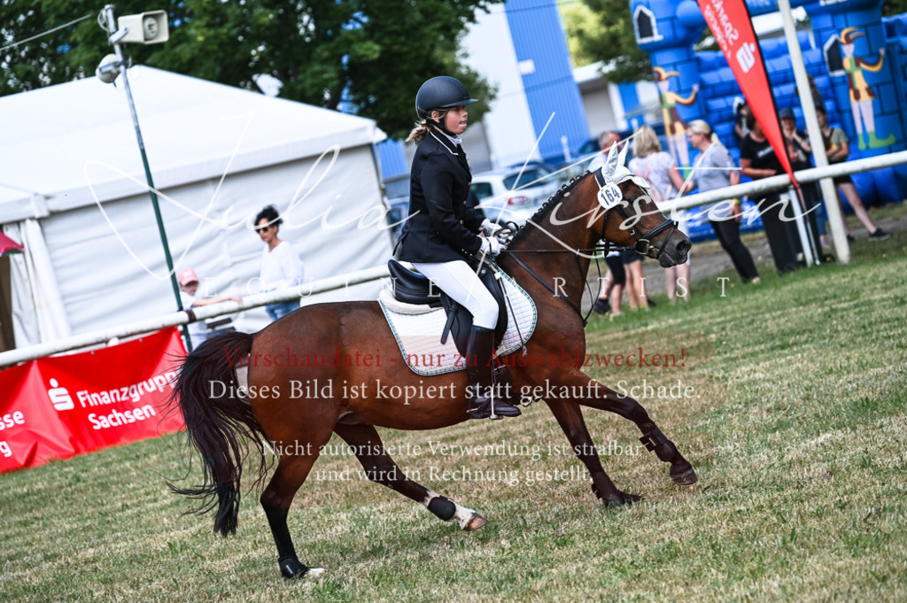 DSC_9794 | Pferde- und Turnierfotografie in Westsachsen. Pferdeportraits, Auftragszeichnungen und intuitive Kunst.