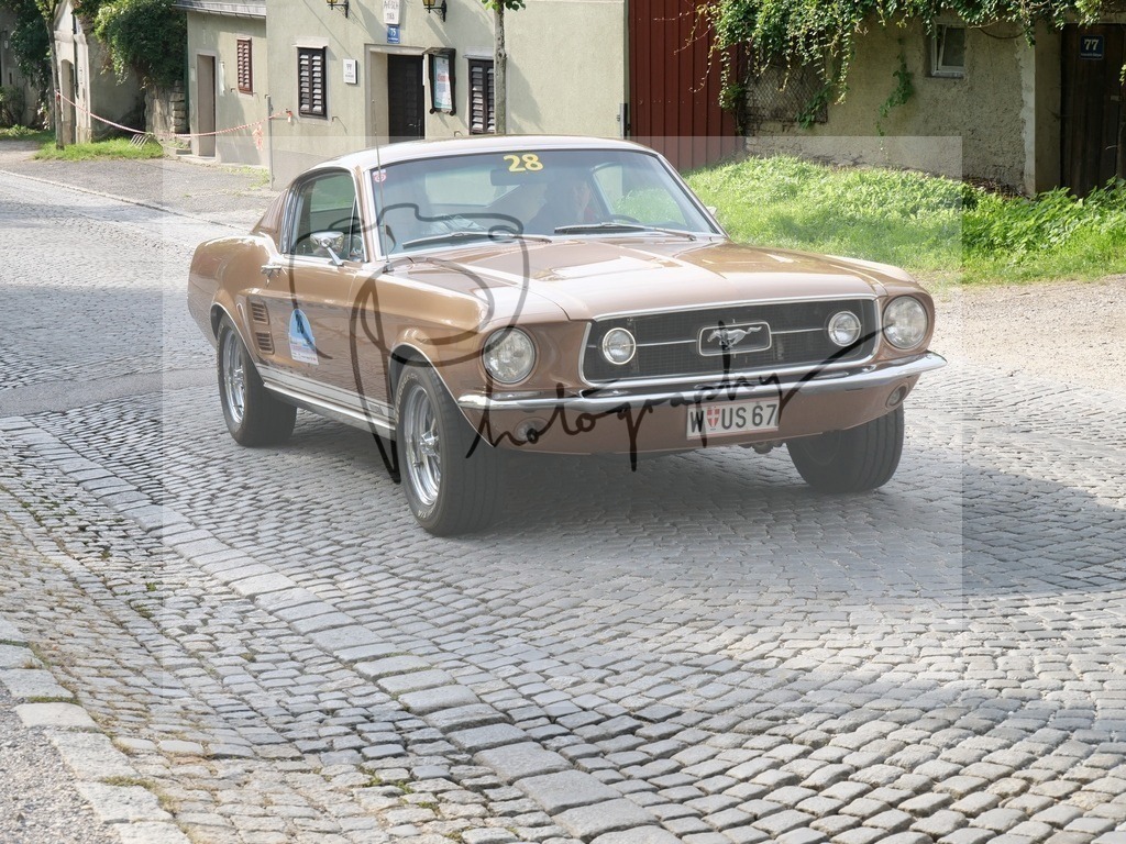 P1000106 | Gerhard Witt