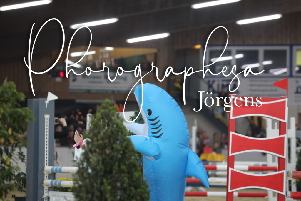 IMG_1890 | photographesa-joergens - Realisiert mit Pictrs.com