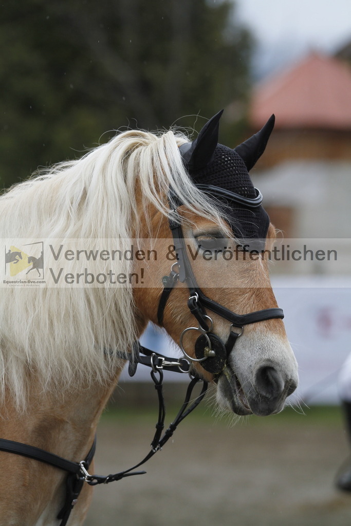 _MG_3674 | equestrian-live-com