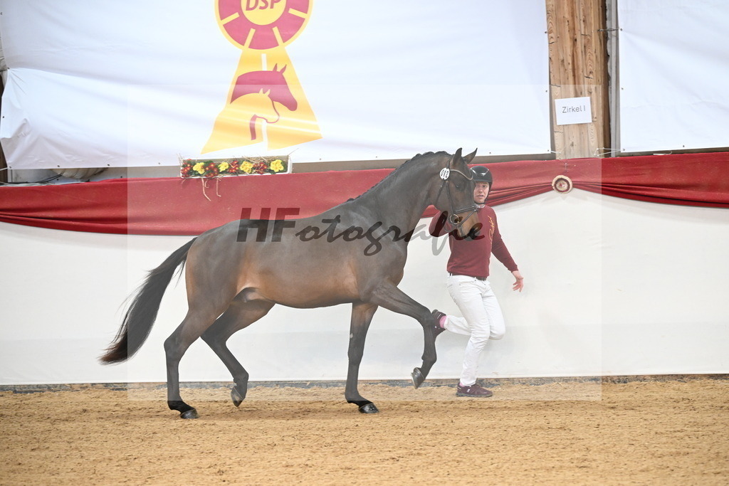 Kat.-Nr. 12 v. Conthargos_Scheuerer_3265079 | hf-fotografie - Realisiert mit Pictrs.com