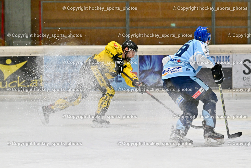 EC Spittal Hornets vs. ESC Steindorf 7.12.2022 | #18 Pöck Markus