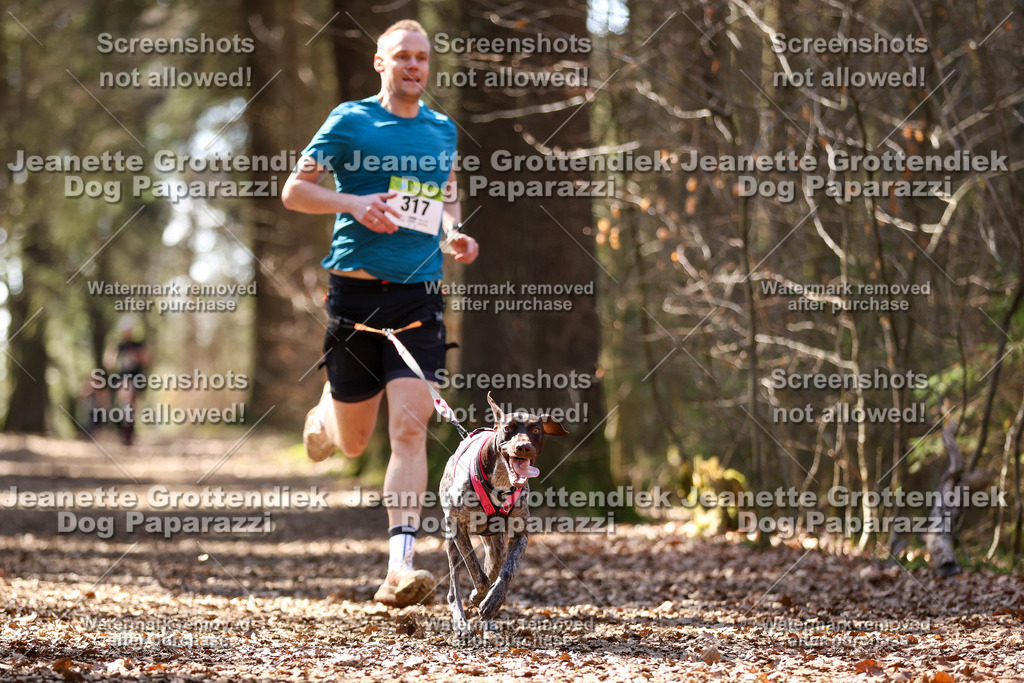 Dog Paparazzi - VCC26-1262 | Dog Paparazzi Jeanette Grottendiek Fotografie & Videografie - Realisiert mit Pictrs.com