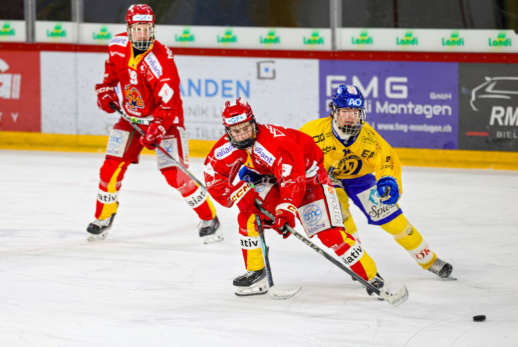 EHCB vs HCD-0538 | Sportbilder, Sportfotograf, Hochzeits- und Eventfotografin, Flugshows, Portraits und Tiershooting, Aviation, Downhill, Nationalleague, Swissleague, International